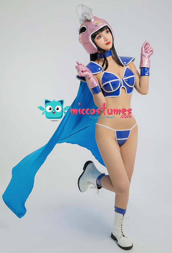 Dragon Ball Chi Chi Cosplay Costume For Sale