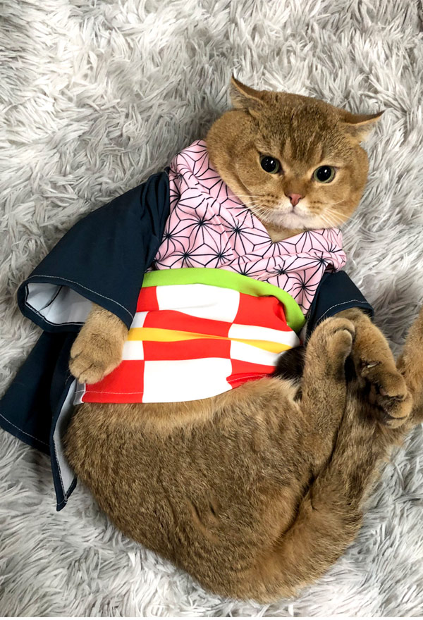 Nezuko Cat Costume - Demon Slayer Cosplay | Kimono for Sale
