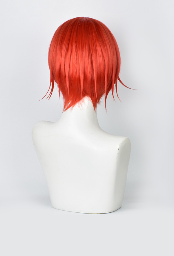 Red Blood Cell AE3803 Wig - Cells at Work Cosplay | Wig for Sale